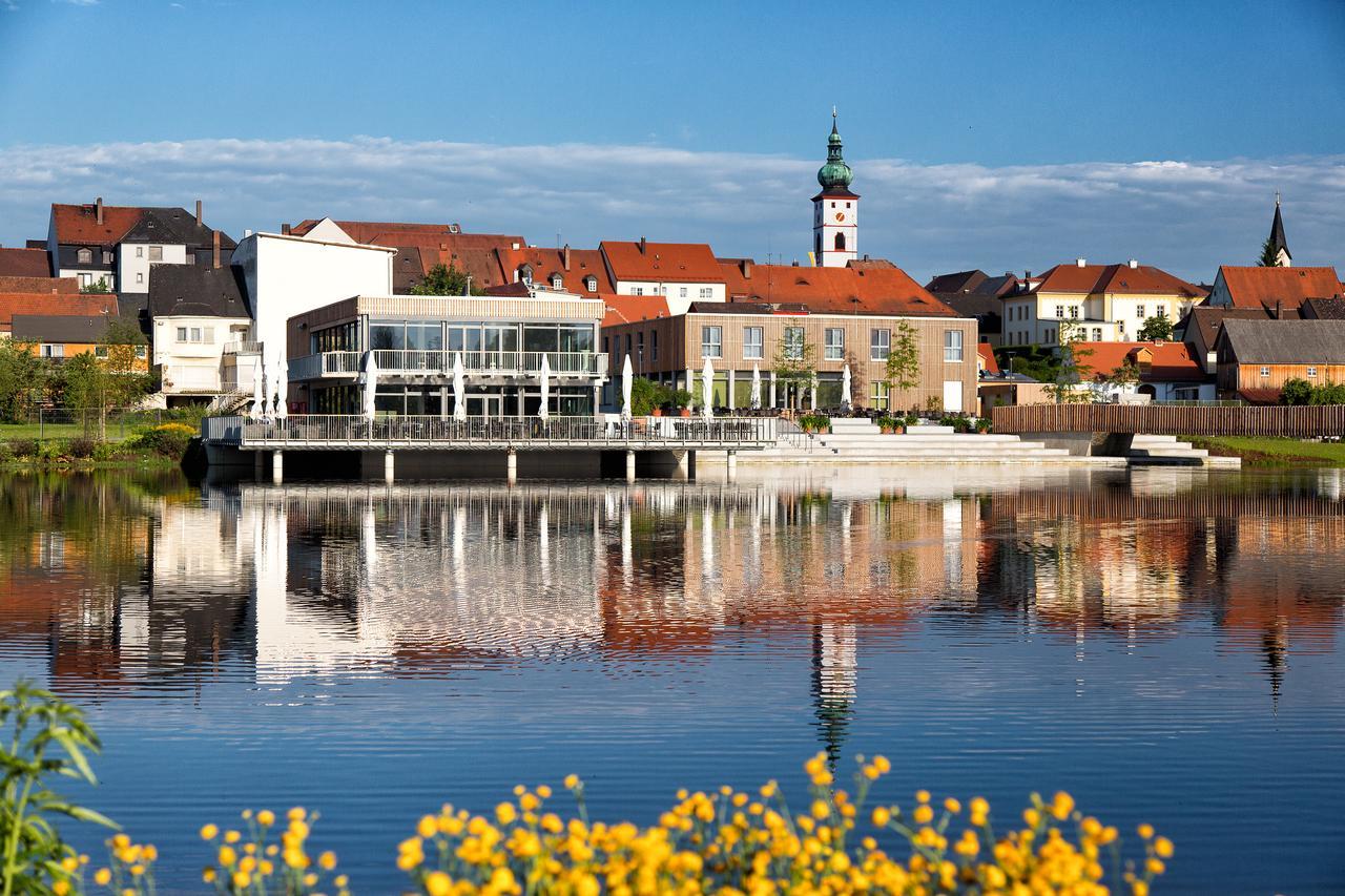 Seenario - Art&Health Hotel am See Tirschenreuth Exterior foto